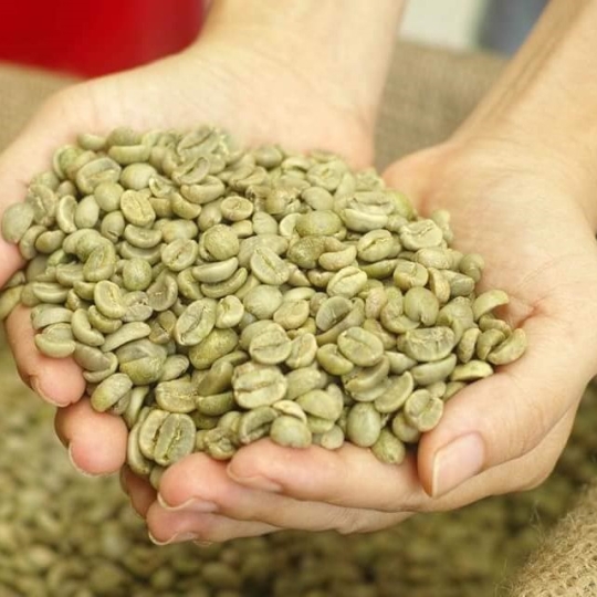 CUNG CẤP CÀ PHÊ SÀNG ARABICA S18
