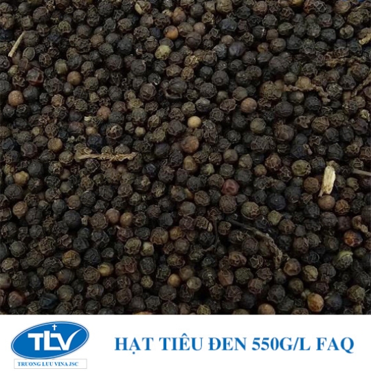 HẠT TIÊU ĐEN 550G/L FAQ