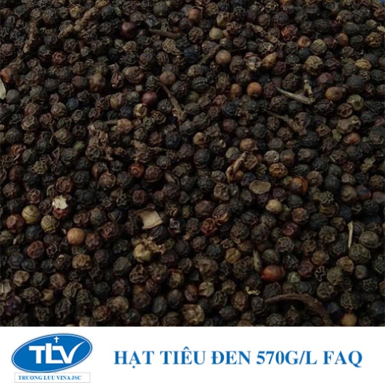 HẠT TIÊU ĐEN 570G/L FAQ